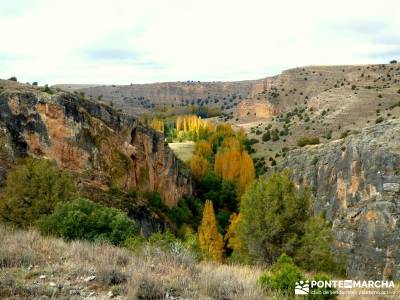 Hoces Río Riaza - Villa Ayllón; senderismo en jaca solana de ávila